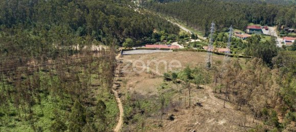 Grundstück in Santa Maria da Feira, Portugal 3439m², Nr. 35103 4