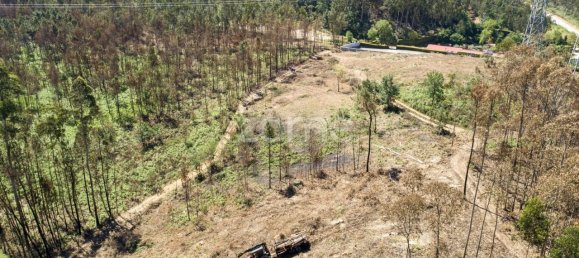 Grundstück in Santa Maria da Feira, Portugal 3439m², Nr. 35103 32