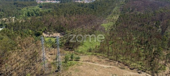 Grundstück in Santa Maria da Feira, Portugal 3439m², Nr. 35103 15