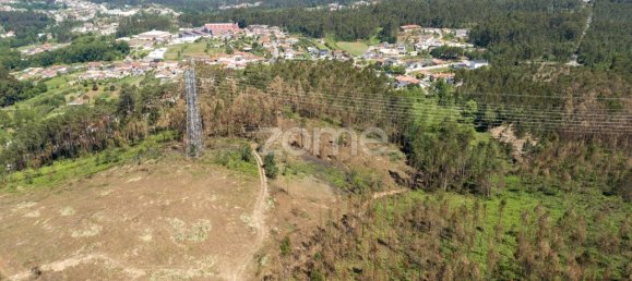 Grundstück in Santa Maria da Feira, Portugal 3439m², Nr. 35103 23