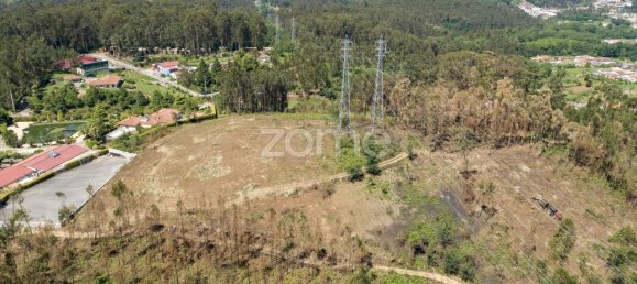 Grundstück in Santa Maria da Feira, Portugal 3439m², Nr. 35103 29
