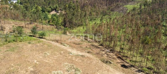 Grundstück in Santa Maria da Feira, Portugal 3439m², Nr. 35103 33