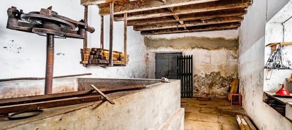 7 Schlafzimmer Haus in Santa Cruz da Graciosa, Portugal, Nr. 26926 14