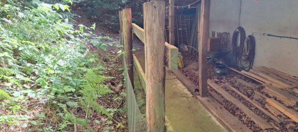 3 Schlafzimmer Bauernhof in Bad Bergzabern, Germany, Nr. 269905 9