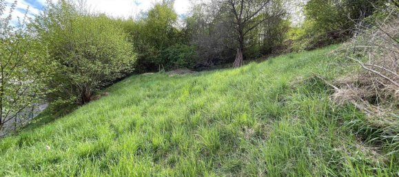 Terreno em Cham, Germany N.º 193139 3