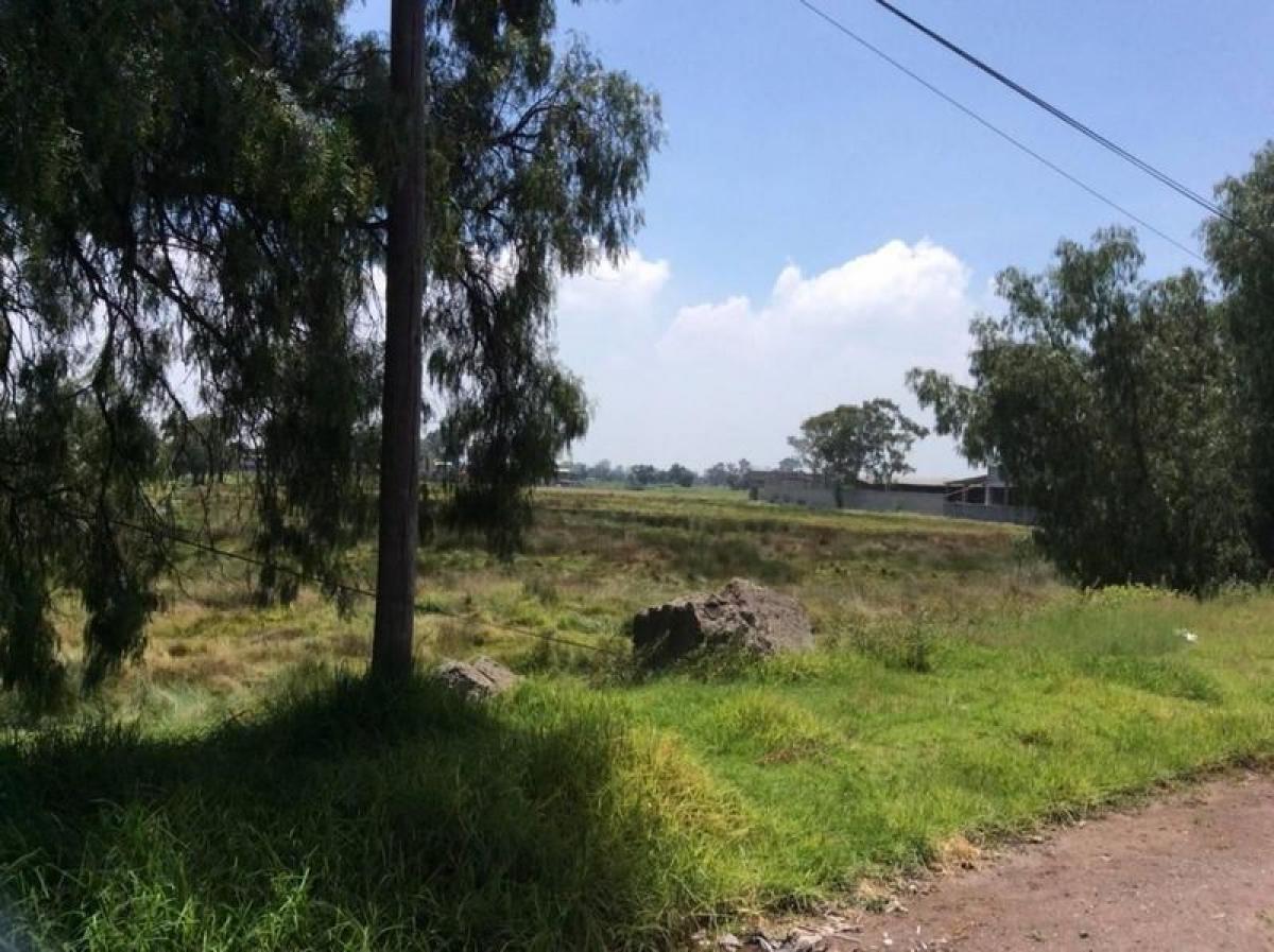  قطعة أرض في Ciudad Lopez Mateos, Mexico رقم 204973