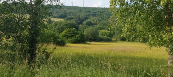  Land in Saarpfalz, Germany No. 258189 9