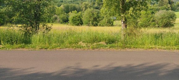  Land in Saarpfalz, Germany No. 258189 8