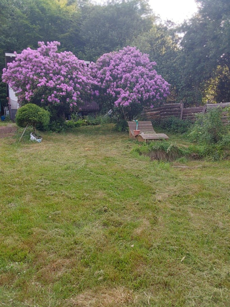  Land in Saarpfalz, Germany No. 258189