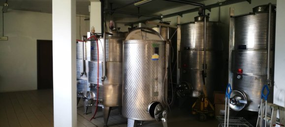 20 bedrooms Castles in Fivizzano, Italy No. 304152 11