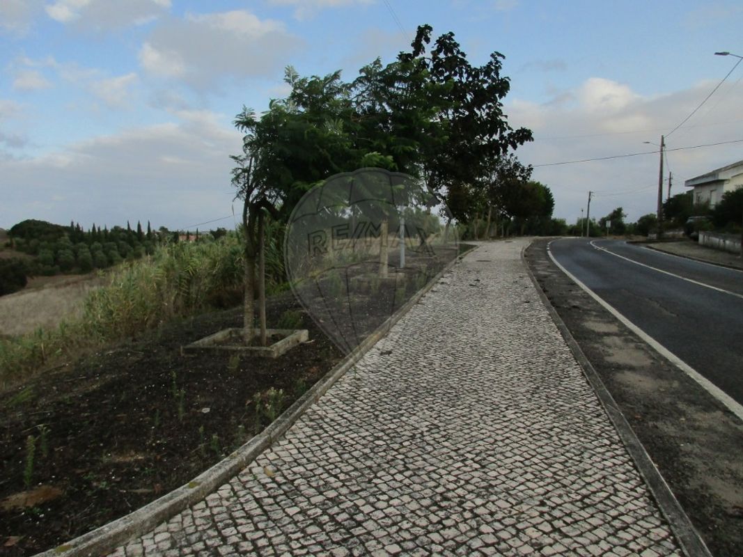 200m² Land in Cartaxo, Portugal No. 94944