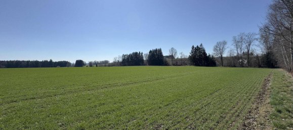 Terreno en Hof, Germany No. 284438 4