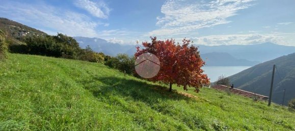 2730m² Land in Parzanica, Italy No. 212322 10