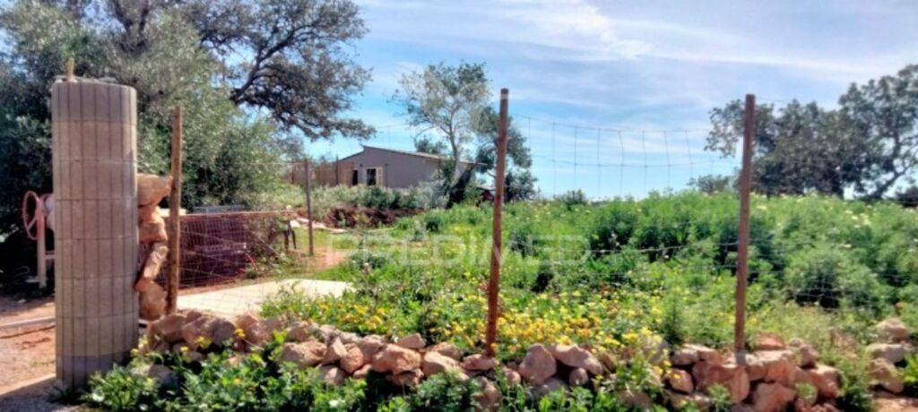 5000m² Land in Paderne, Portugal No. 31637