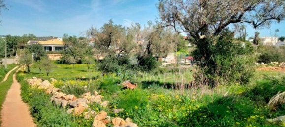 5000m² Land in Paderne, Portugal No. 31637 4