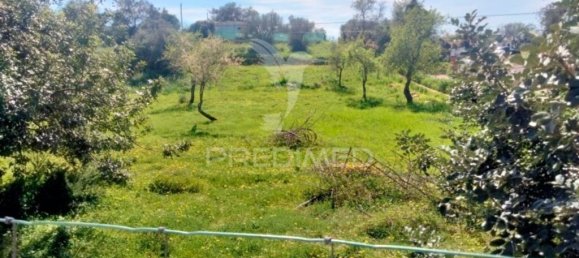 5000m² Land in Paderne, Portugal No. 31637 3