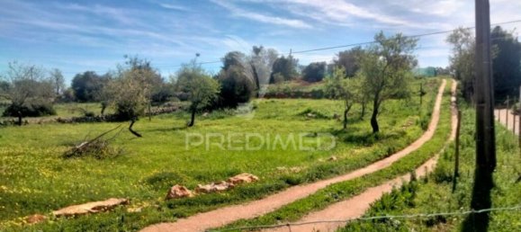5000m² Land in Paderne, Portugal No. 31637 2