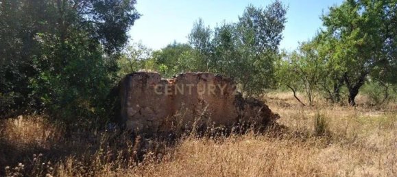  قطعة أرض في Silves, Portugal 10000متر مربع رقم 86873 5