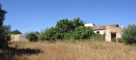  قطعة أرض في Silves, Portugal 10000متر مربع رقم 86873 3