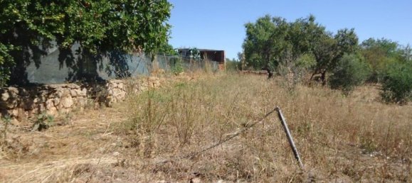  قطعة أرض في Silves, Portugal 10000متر مربع رقم 86873 7