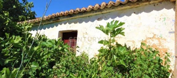  قطعة أرض في Silves, Portugal 10000متر مربع رقم 86873 11