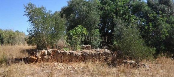  قطعة أرض في Silves, Portugal 10000متر مربع رقم 86873 6