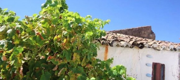  قطعة أرض في Silves, Portugal 10000متر مربع رقم 86873 12