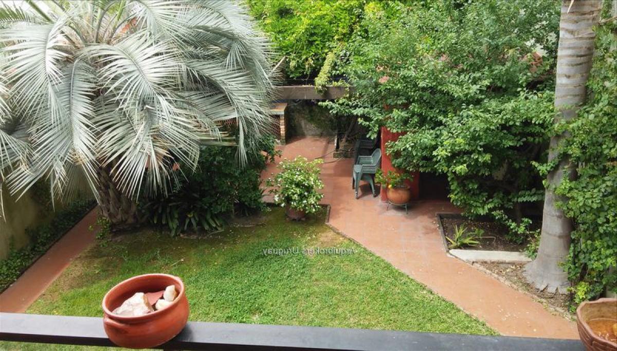 6 bedrooms House in Montevideo, Uruguay No. 478