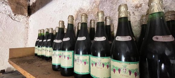 4 bedrooms Castles in Pico, Italy No. 57431 33