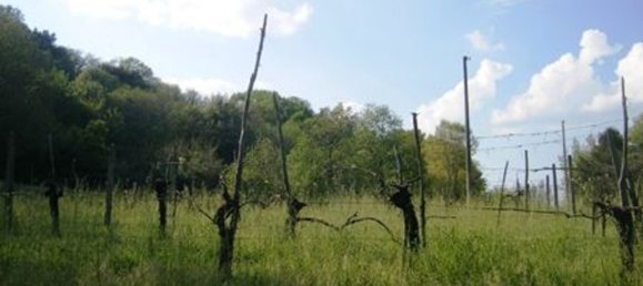 Дом с 8 комнатами в Орвието, Италия № 47379 11