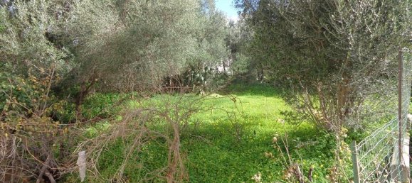 5 rooms Apartment in Sardinia, Italy No. 247757 3