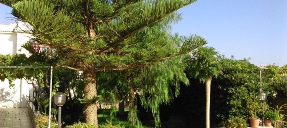 4-salle Villa à Noto, Italy No. 150053 7