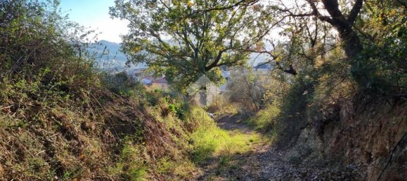 Studio in Castellalto, Italy No. 177638 17