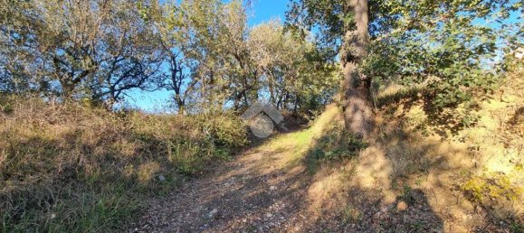 Studio in Castellalto, Italy No. 177638 23