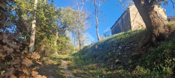 Studio in Castellalto, Italy No. 177638 6