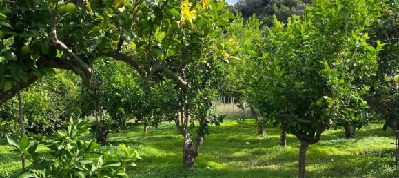 Terreno en Capri Leone, Italy 4473 m² No. 154379 5