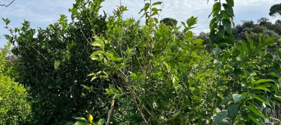 Terreno en Capri Leone, Italy 4473 m² No. 154379 6