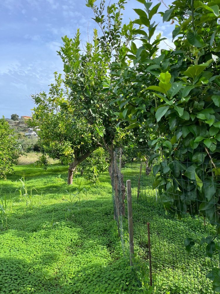 Terreno en Capri Leone, Italy 4473 m² No. 154379