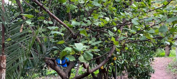 Terreno en Capri Leone, Italy 4473 m² No. 154379 2