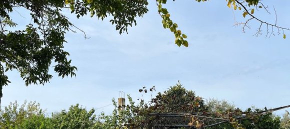 Terreno en Capri Leone, Italy 4473 m² No. 154379 8