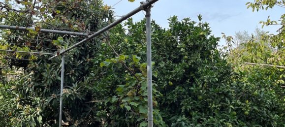 Terreno en Capri Leone, Italy 4473 m² No. 154379 3