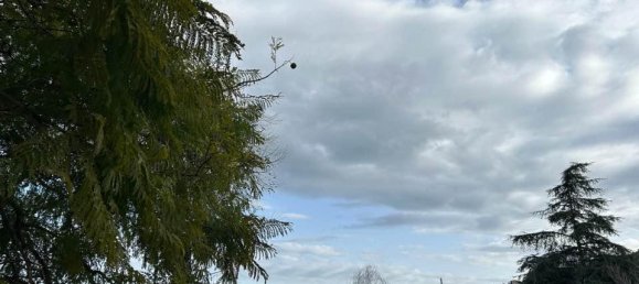 4-Zimmer Haus in Sanremo, Italy, Nr. 228196 8