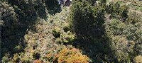  قطعة أرض في Ferndorf, Austria 1300متر مربع رقم 44269 3