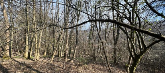 Terrain à Penzing, Austria No. 103426 2