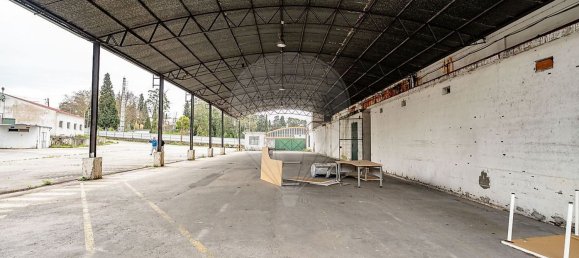 مستودع في Coimbra, Portugal 1228متر مربع رقم 66572 10