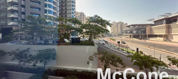 Studio in Palm Jumeirah, UAE, Nr. 34185 11