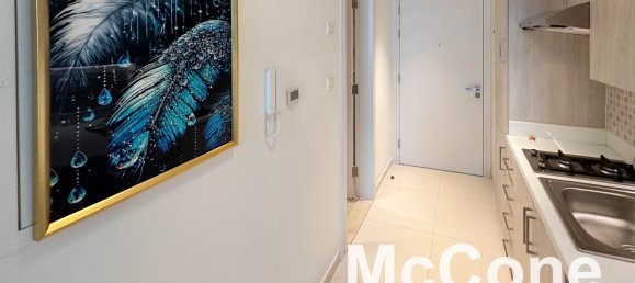 Studio in Palm Jumeirah, UAE, Nr. 34185 8