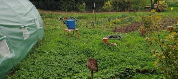 3 bedrooms House in Breheville, France No. 246296 16