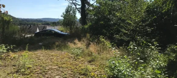  Land in Saarpfalz, Germany No. 10741 2