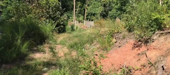  Land in Saarpfalz, Germany No. 10741 3